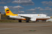 SonAir Airbus A319-115X CJ (VP-BEX) at  Hamburg - Fuhlsbuettel (Helmut Schmidt), Germany