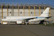 SonAir Airbus A319-115X CJ (VP-BEY) at  Hamburg - Fuhlsbuettel (Helmut Schmidt), Germany