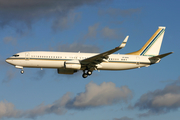 Saudi Oger Boeing 737-8AN(BBJ2) (VP-BHN) at  Hamburg - Fuhlsbuettel (Helmut Schmidt), Germany