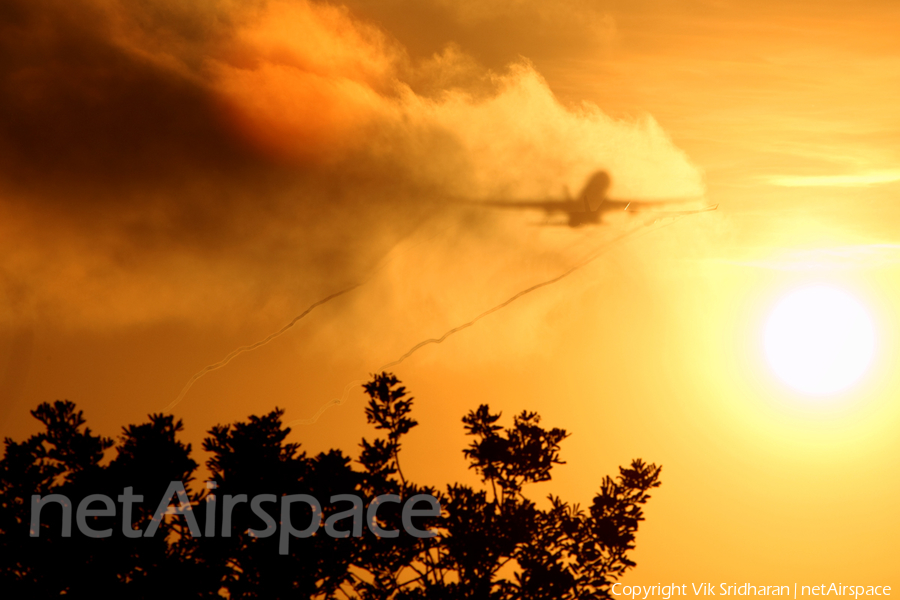 Aeroflot - Russian Airlines Airbus A330-243 (VP-BLX) | Photo 67383