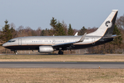 (Private) Boeing 737-7BC(BBJ) (VP-BRT) at  Hamburg - Fuhlsbuettel (Helmut Schmidt), Germany