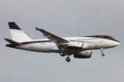 Aravco Airbus A319-133X CJ (VP-CCJ) at  Hamburg - Fuhlsbuettel (Helmut Schmidt), Germany