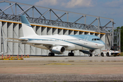 Aviation Link Airbus A319-111 (VP-CMJ) at  Hamburg - Fuhlsbuettel (Helmut Schmidt), Germany