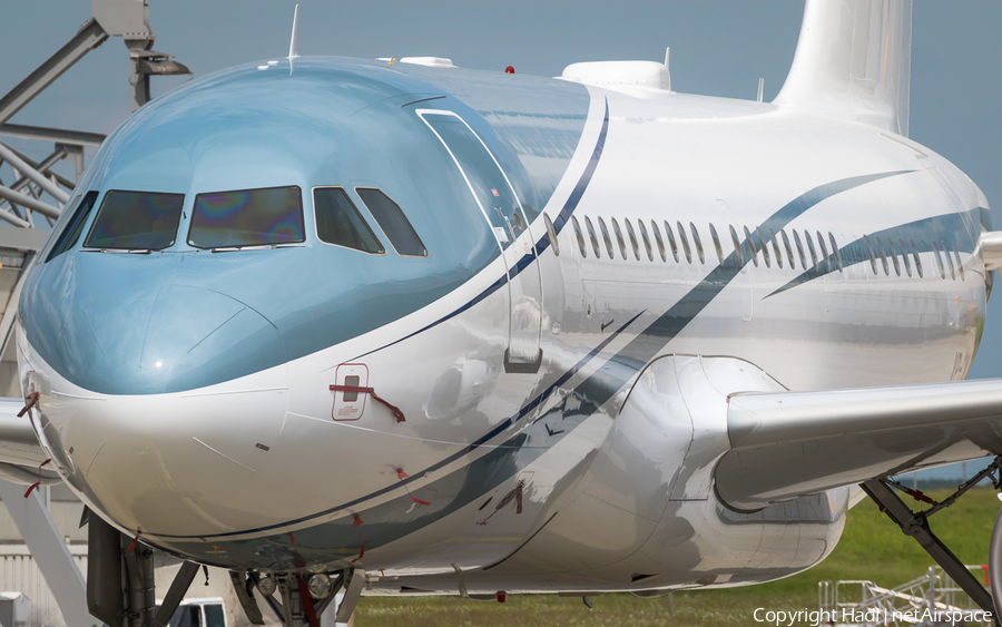 Aviation Link Airbus A319-111 (VP-CMJ) | Photo 109116