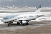 (Private) Airbus A319-111 (VP-CMJ) at  Zurich - Kloten, Switzerland