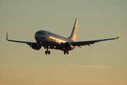 UTair Aviation Boeing 737-8GU (VQ-BQP) at  Moscow - Vnukovo, Russia