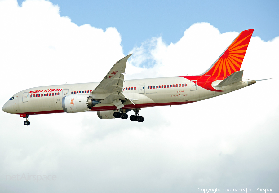 Air India Boeing 787-8 Dreamliner (VT-ANI) | Photo 61013