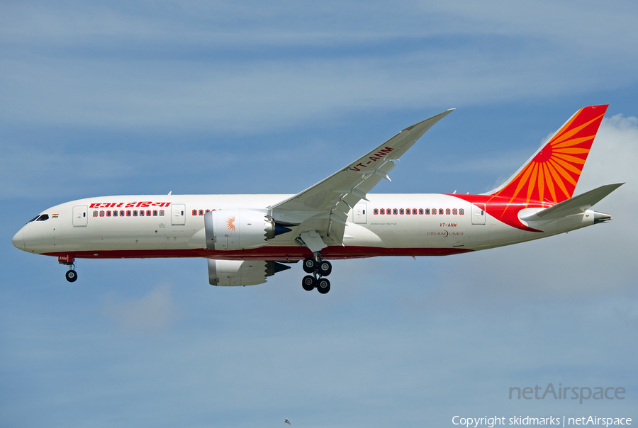 Air India Boeing 787-8 Dreamliner (VT-ANM) | Photo 29449