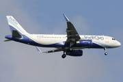 IndiGo Airbus A320-232 (VT-IAS) at  Singapore - Changi, Singapore