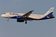 IndiGo Airbus A320-232 (VT-IES) at  Dubai - International, United Arab Emirates