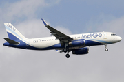 IndiGo Airbus A320-232 (VT-IFH) at  Singapore - Changi, Singapore