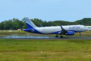 IndiGo Airbus A320-232 (VT-IFL) at  Trivandrum - International, India