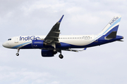 IndiGo Airbus A320-271N (VT-IJA) at  Singapore - Changi, Singapore