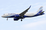 IndiGo Airbus A320-251N (VT-IPO) at  Singapore - Changi, Singapore