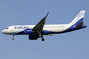 IndiGo Airbus A320-251N (VT-ISY) at  Singapore - Changi, Singapore