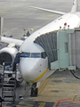 Jet Airways Boeing 737-8AL (VT-JFG) at  Kolkata - Netaji Subhash Bhandra Bose International, India