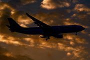 Jet Airways Airbus A330-202 (VT-JWL) at  Singapore - Changi, Singapore