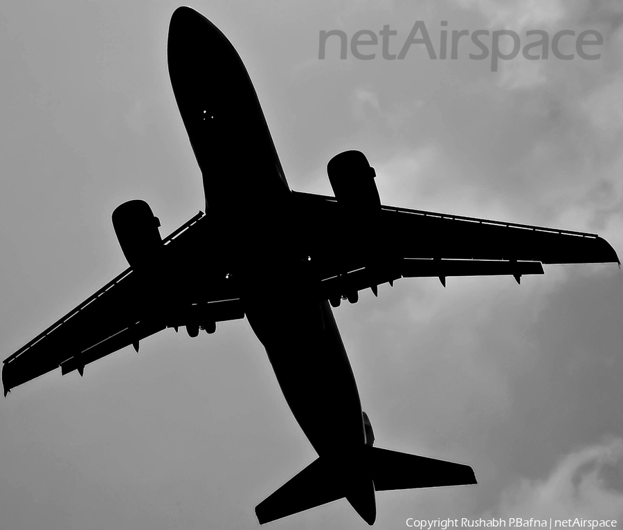Air India Airbus A319-112 (VT-SCR) | Photo 33073