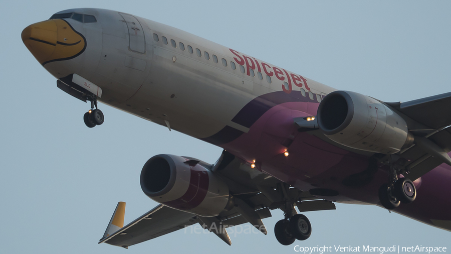 SpiceJet (Nok Air) Boeing 737-8AS (VT-SLG) | Photo 149913