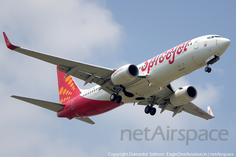 SpiceJet Boeing 737-8GJ (VT-SPJ) | Photo 33318