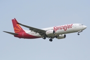 SpiceJet Boeing 737-8GJ (VT-SPS) at  New Delhi - Indira Gandhi International, India