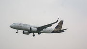 Vistara Airbus A320-251N (VT-TQG) at  Chennai - International, India