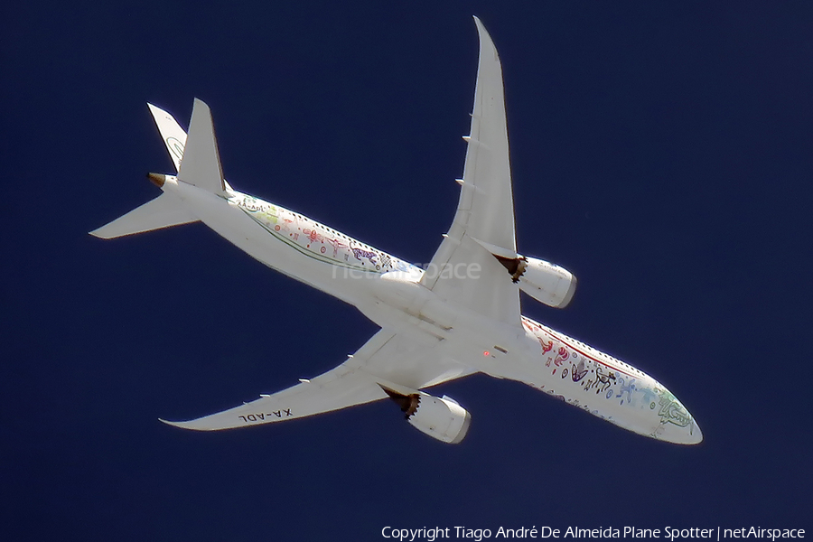 AeroMexico Boeing 787-9 Dreamliner (XA-ADL) | Photo 331244