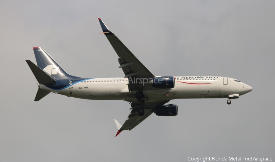 AeroMexico Boeing 737-852 (XA-AML) | Photo 408425