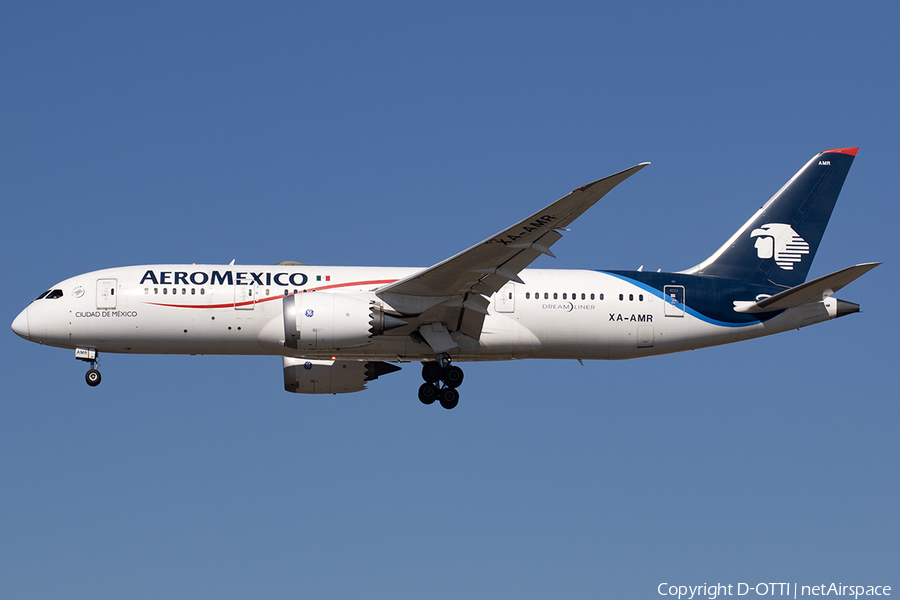AeroMexico Boeing 787-8 Dreamliner (XA-AMR) | Photo 543105