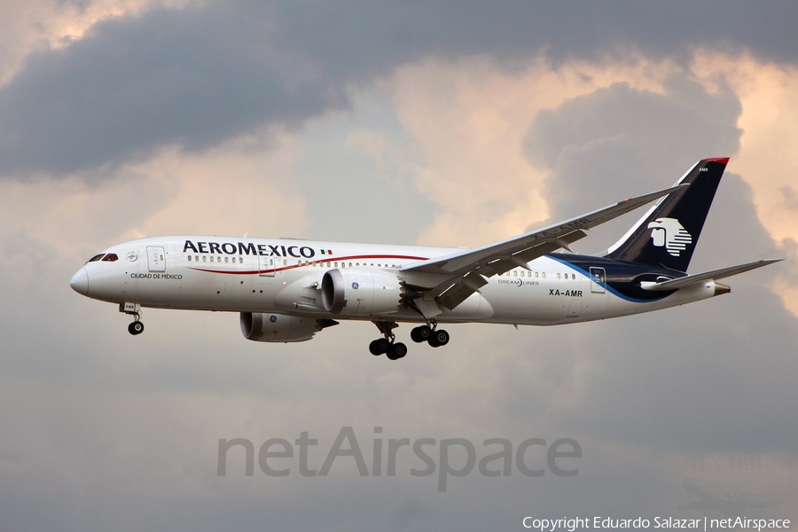 AeroMexico Boeing 787-8 Dreamliner (XA-AMR) | Photo 90306