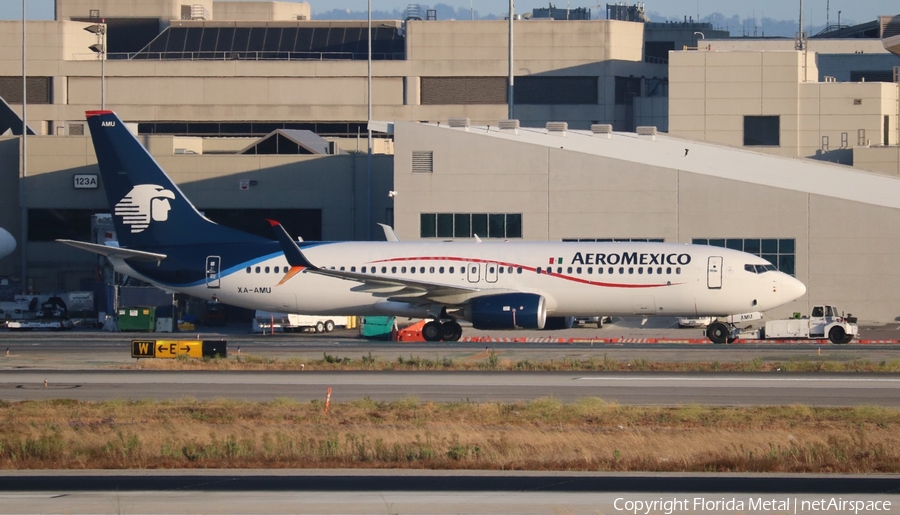 AeroMexico Boeing 737-852 (XA-AMU) | Photo 408429