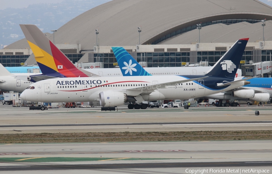 AeroMexico Boeing 787-8 Dreamliner (XA-AMX) | Photo 408430