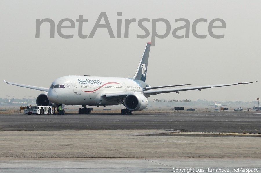 AeroMexico Boeing 787-8 Dreamliner (XA-AMX) | Photo 317982