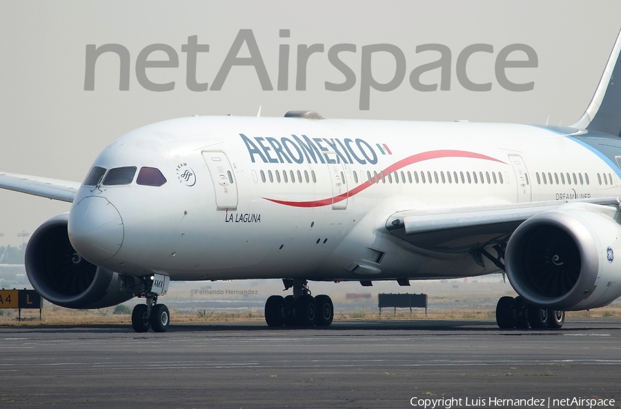 AeroMexico Boeing 787-8 Dreamliner (XA-AMX) | Photo 317983