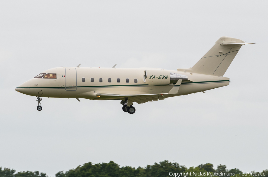 Aerovena Bombardier CL-600-2B16 Challenger 604 (XA-EVG) | Photo 335527