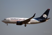 AeroMexico Boeing 737-752 (XA-GOL) at  Mexico City - Lic. Benito Juarez International, Mexico