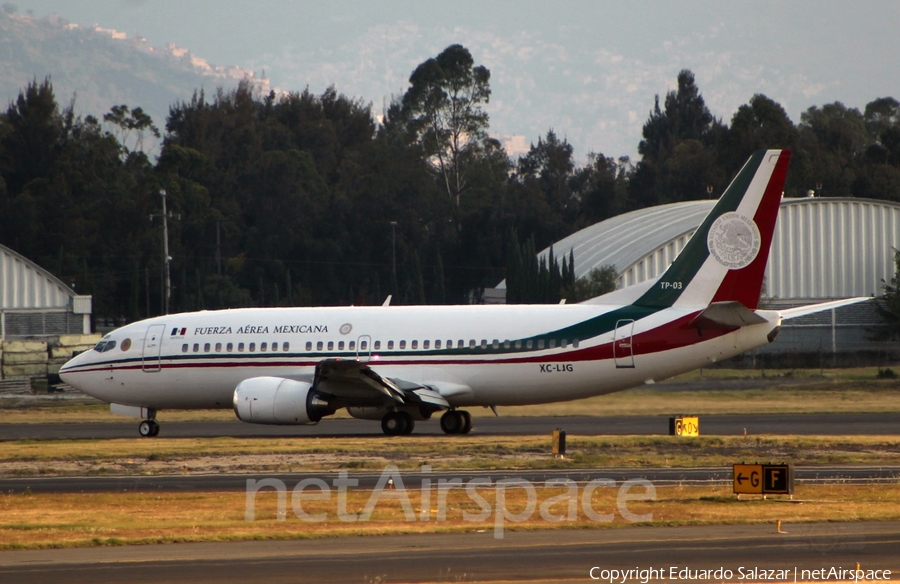 Mexican Air Force (Fuerza Aerea Mexicana) Boeing 737-322 (XC-LJG) | Photo 120751