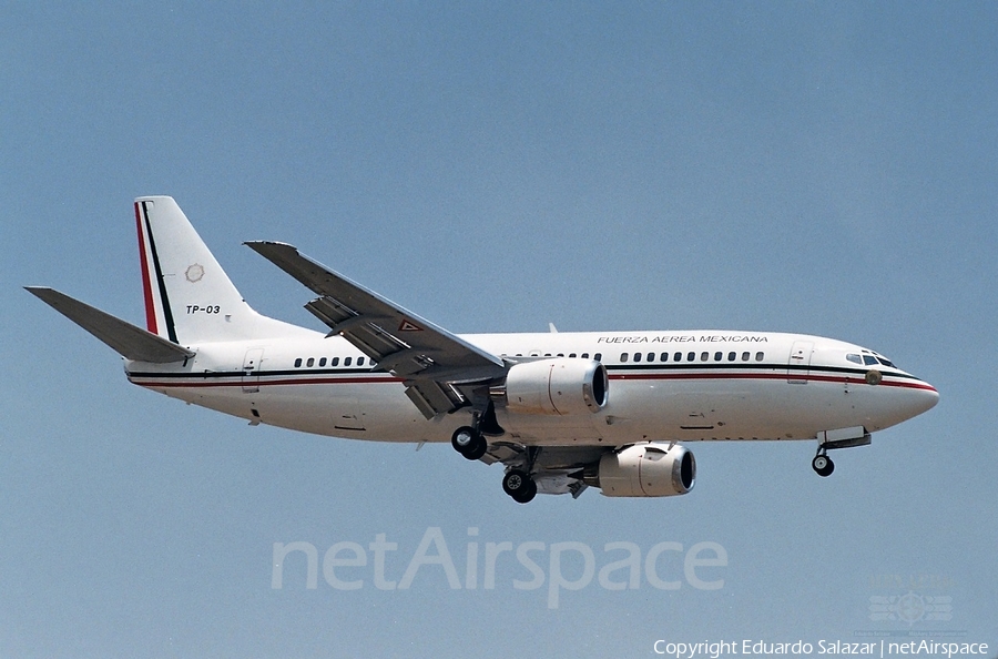 Mexican Air Force (Fuerza Aerea Mexicana) Boeing 737-322 (XC-LJG) | Photo 142195