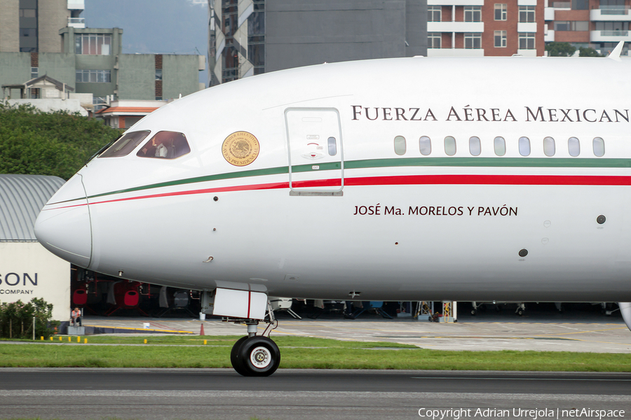 Mexican Air Force (Fuerza Aerea Mexicana) Boeing 787-8 Dreamliner (TP-01) | Photo 167100