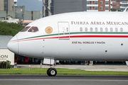 Mexican Air Force (Fuerza Aerea Mexicana) Boeing 787-8 Dreamliner (TP-01) at  Guatemala City - La Aurora, Guatemala