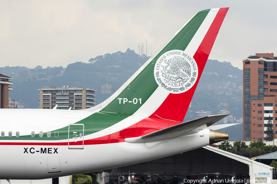 Mexican Air Force (Fuerza Aerea Mexicana) Boeing 787-8 Dreamliner (TP-01) | Photo 167128