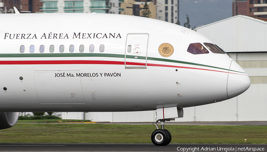 Mexican Air Force (Fuerza Aerea Mexicana) Boeing 787-8 Dreamliner (TP-01) | Photo 167445