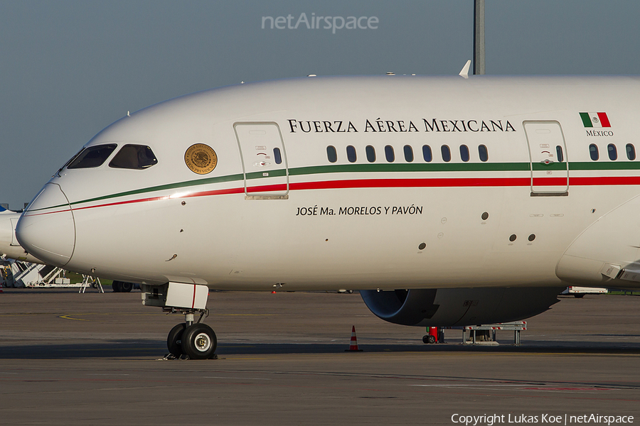 Mexican Air Force (Fuerza Aerea Mexicana) Boeing 787-8 Dreamliner (TP-01) | Photo 239389