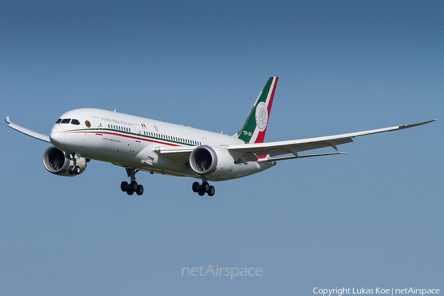 Mexican Air Force (Fuerza Aerea Mexicana) Boeing 787-8 Dreamliner (TP-01) | Photo 239393