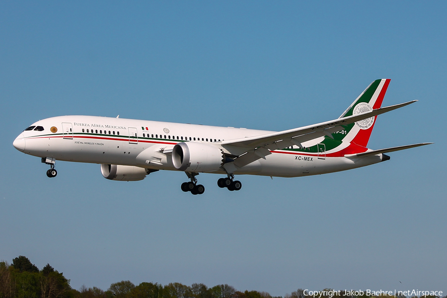 Mexican Air Force (Fuerza Aerea Mexicana) Boeing 787-8 Dreamliner (TP-01) | Photo 239564