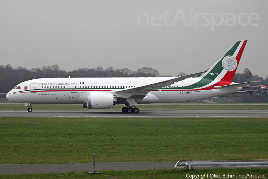 Mexican Air Force (Fuerza Aerea Mexicana) Boeing 787-8 Dreamliner (TP-01) | Photo 105675