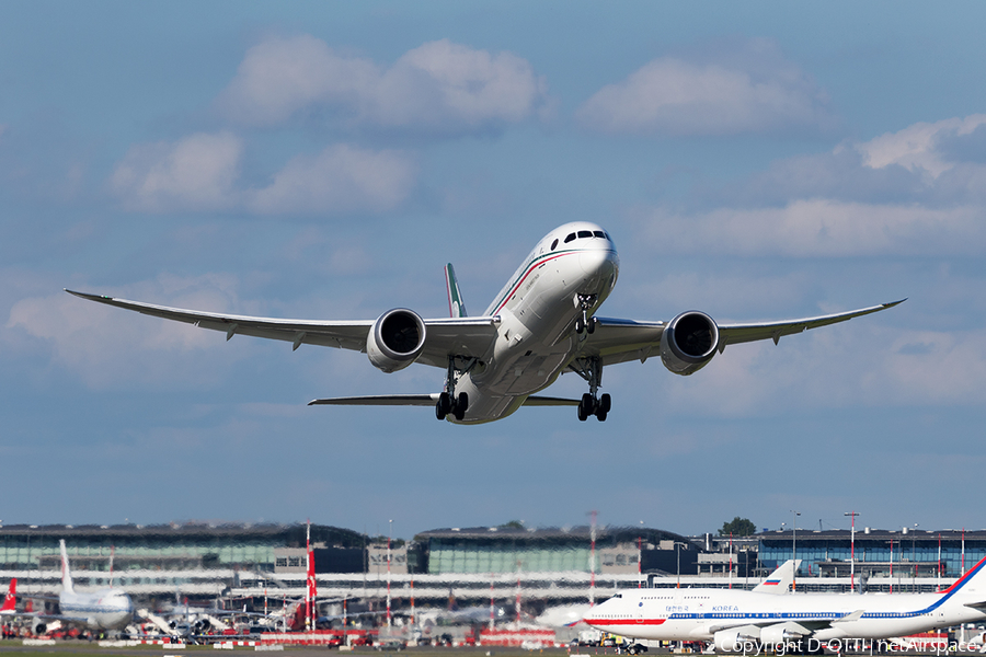 Mexican Air Force (Fuerza Aerea Mexicana) Boeing 787-8 Dreamliner (TP-01) | Photo 173477