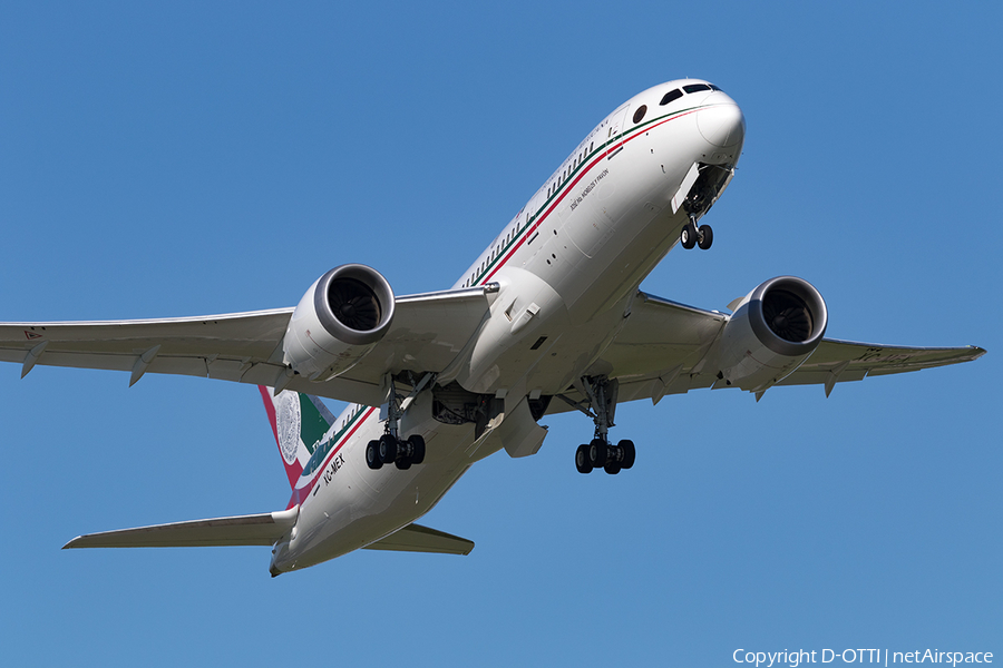 Mexican Air Force (Fuerza Aerea Mexicana) Boeing 787-8 Dreamliner (TP-01) | Photo 173478