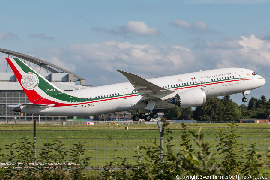 Mexican Air Force (Fuerza Aerea Mexicana) Boeing 787-8 Dreamliner (TP-01) | Photo 173513