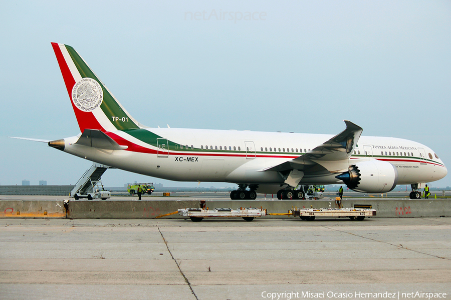 Mexican Air Force (Fuerza Aerea Mexicana) Boeing 787-8 Dreamliner (TP-01) | Photo 124624